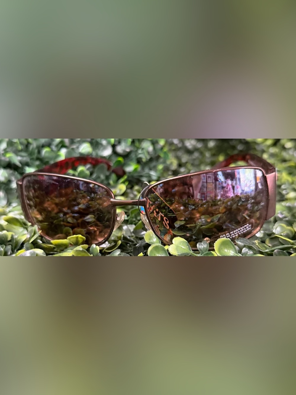 Brown Tats Tiger Sunglasses, Adult - Tattoos on Hollywood Stars